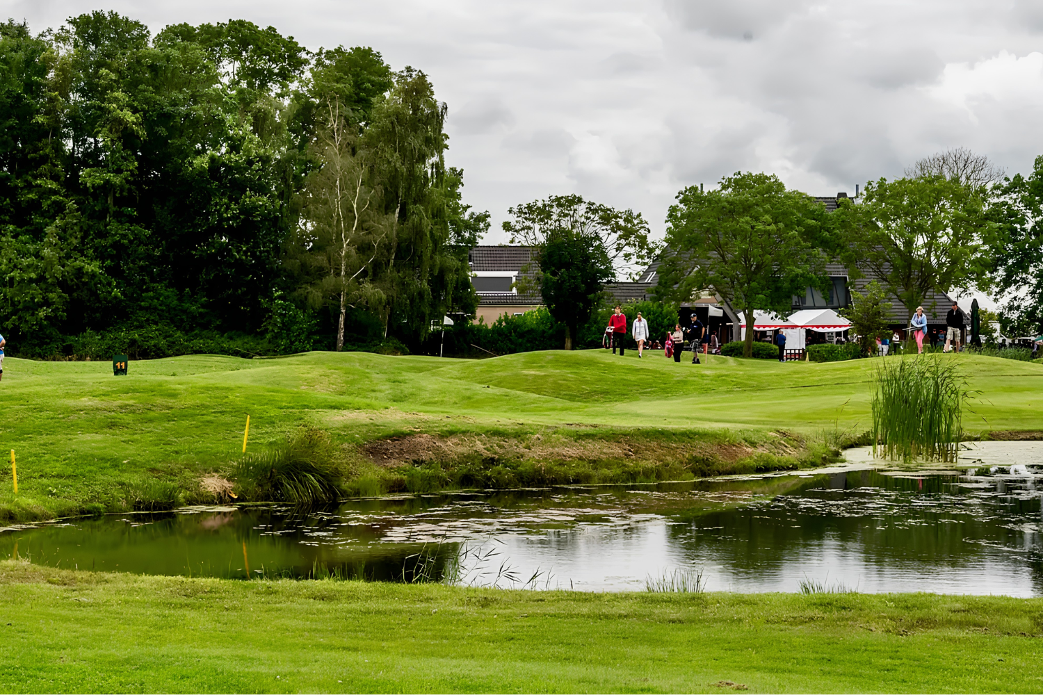 Netwerken en golfen: 9 holes pitch & putt in Koudum